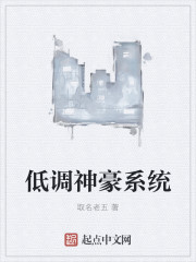 �͵����ϵͳ